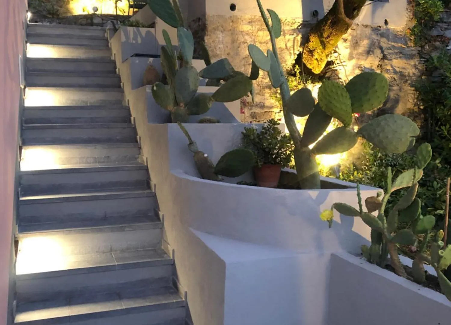 Vista Portofino Lejlighed Zoagli Italien